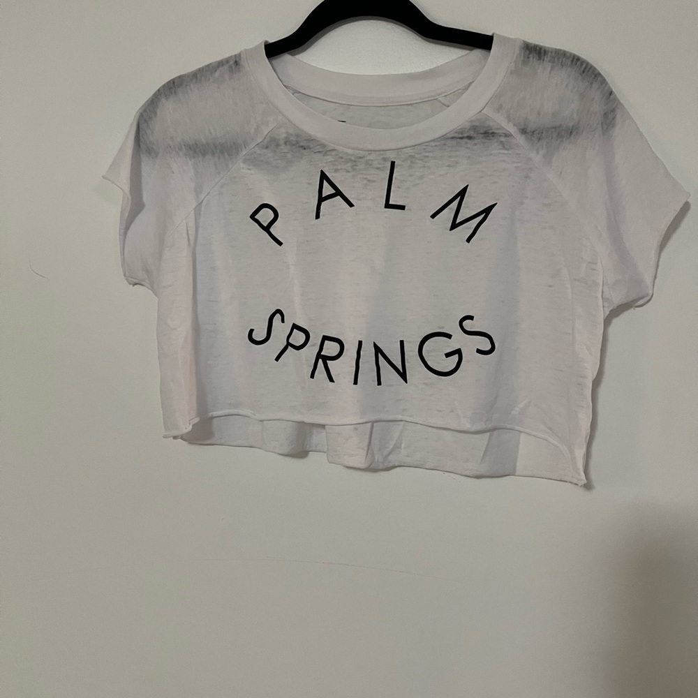 sheer palm springs crop top